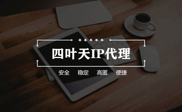 【舟山代理IP】如何快速搭建代理IP？怎么检查代理的效果？